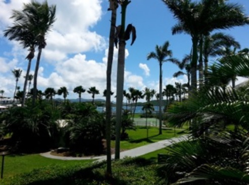 the-view