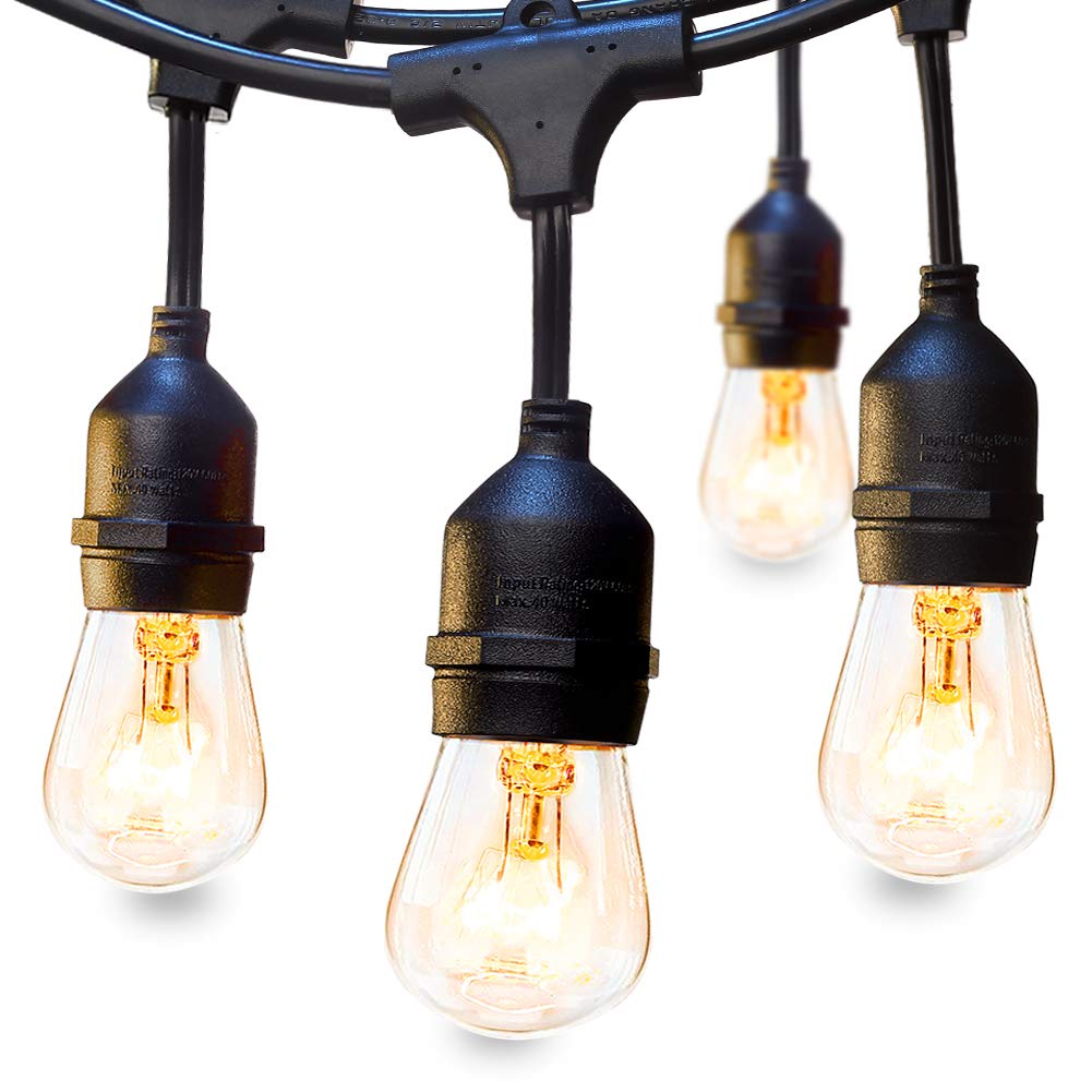 Edison Bulbs