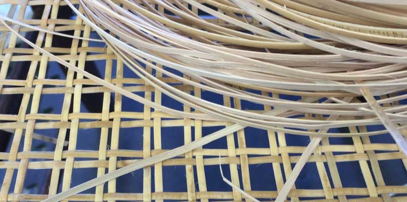 Caning Classes